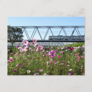 Keisei-Zug: Edogawa, Tokio Postkarte