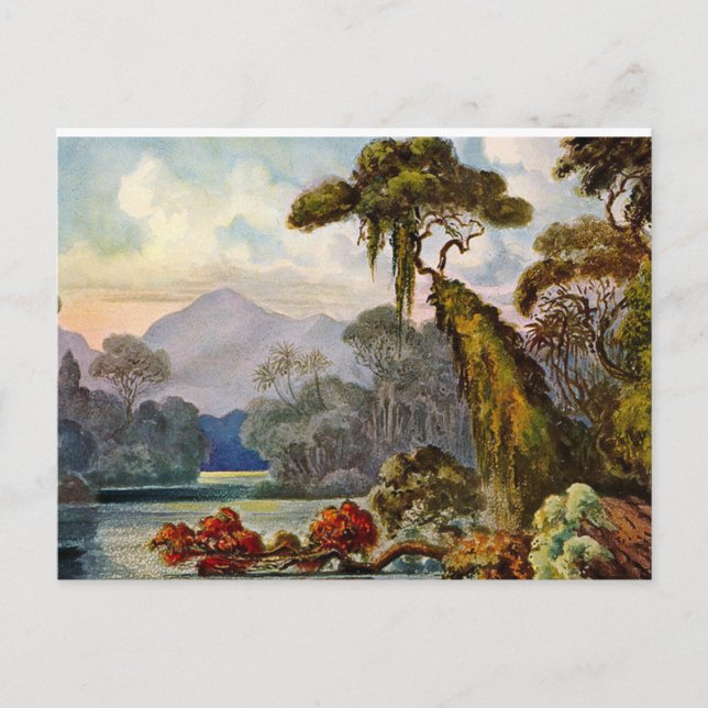 Kelany Ganga Ernst Haeckel Painting 1882 Postkarte (Vorderseite)
