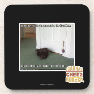 Keller-Katze, etwas verwirrt Getränkeuntersetzer