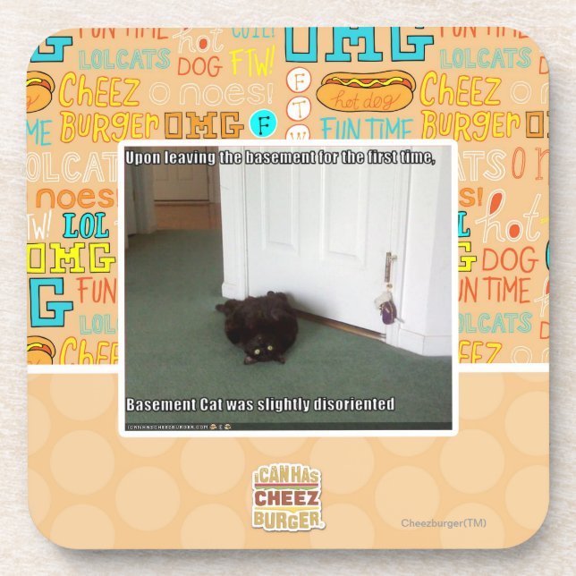 Keller-Katze, etwas verwirrt Getränkeuntersetzer (Vorderseite)