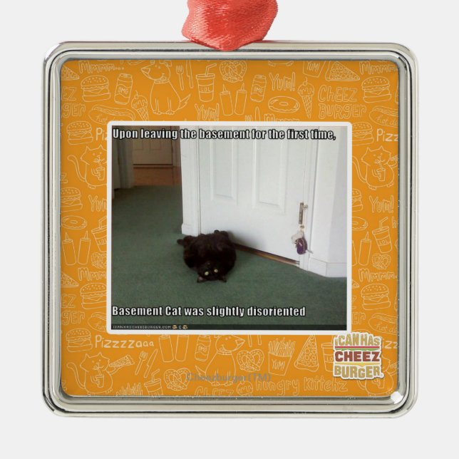 Keller-Katze, etwas verwirrt Ornament Aus Metall (Vorne)