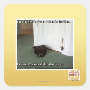 Keller-Katze, etwas verwirrt Quadratischer Aufkleber