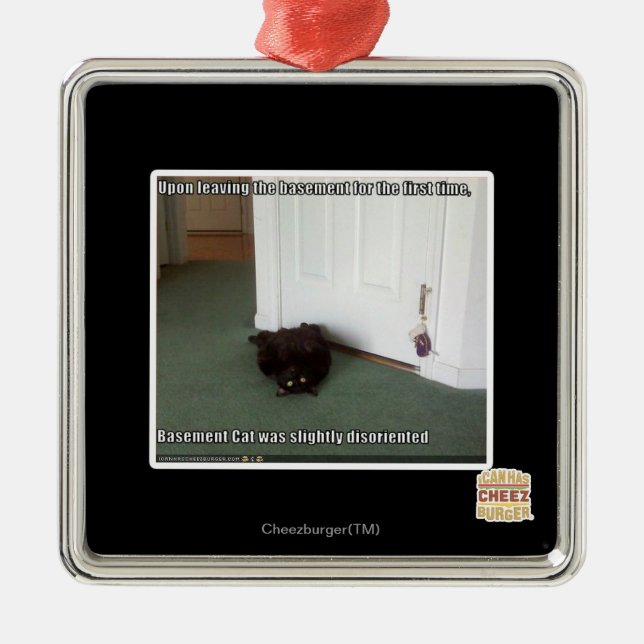 Keller-Katze, etwas verwirrt Silbernes Ornament (Vorne)