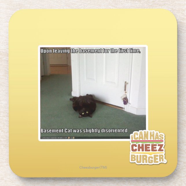 Keller-Katze, etwas verwirrt Untersetzer (Vorderseite)