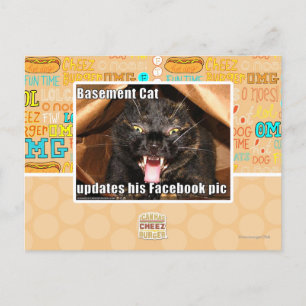 Keller-Katze Postkarte