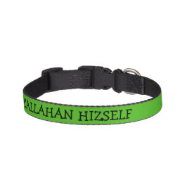 Kelly Green Hundehalsband Personalisiert Haustierhalsband