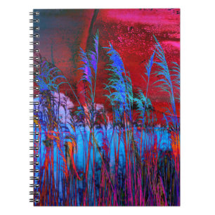 Kelly Nickels Fotografie / Willows & Weeds Notizblock
