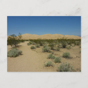 Kelso-Dünen im Mojave-Nationalpark Postkarte