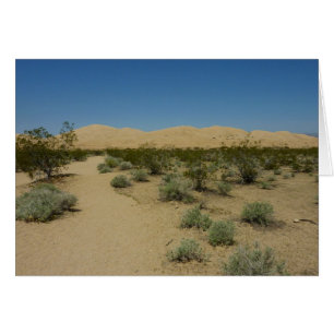 Kelso Dunes im Mojave Nationalpark