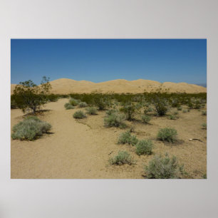 Kelso Dunes im Mojave Nationalpark Poster