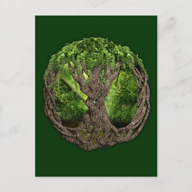 Keltischer Baum Postkarte (Vorderseite)