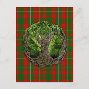 Keltischer Baum und Clan MacGregor Tartan Postkarte