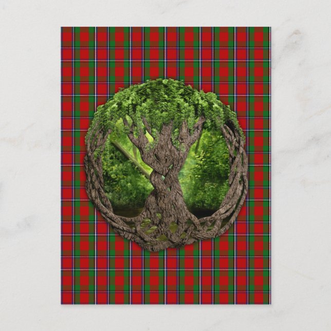 Keltischer Baum und Clan Sinclair Tartan Postkarte (Vorderseite)