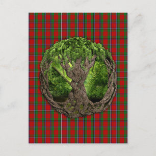 Keltischer Lebensbaum und Clan Sinclair Tartan Postkarte