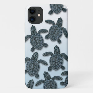 Kemp's Ridley Sea Turtle iPhone Case