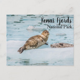Kenai Fjords Nationalpark Postkarte