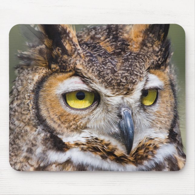 Kendall Landkreis, Texas. Große Hornschale Mousepad (Vorne)