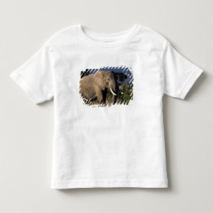 Kenia: Amboseli, männlicher afrikanischer Elefant Kleinkind T-shirt