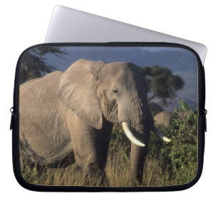 Kenia: Amboseli, männlicher Afrikanischer Elefant Laptopschutzhülle