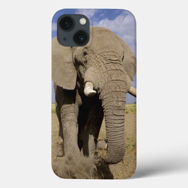 Kenia: Amboseli National Park, Elefantenmännchen Case-Mate iPhone Hülle (Rückseite)