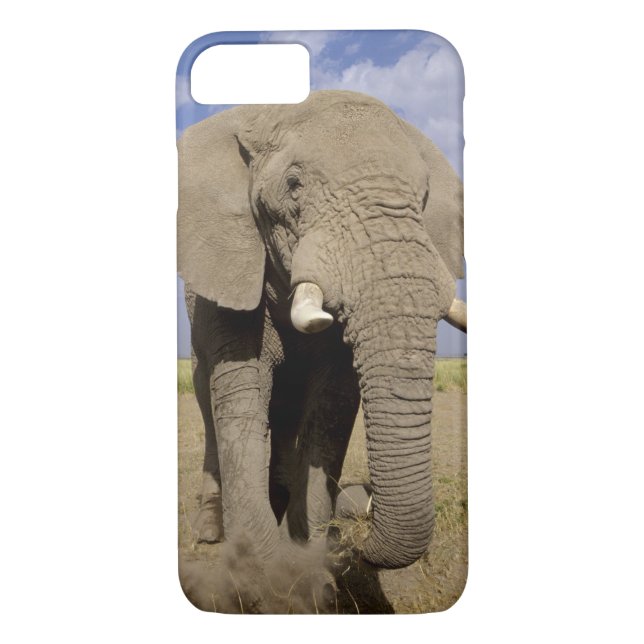 Kenia: Amboseli National Park, Elefantenmännchen Case-Mate iPhone Hülle (Rückseite)
