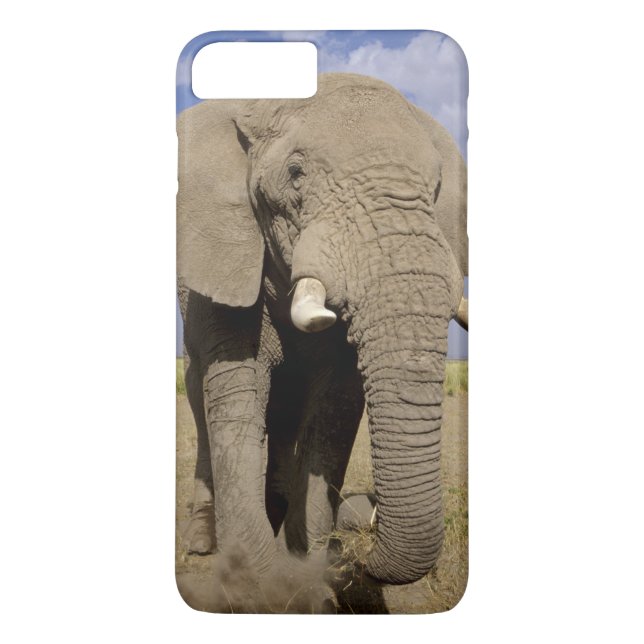 Kenia: Amboseli National Park, Elefantenmännchen Case-Mate iPhone Hülle (Rückseite)