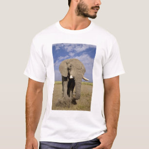 Kenia: Amboseli National Park, Elefantenmännchen T-Shirt