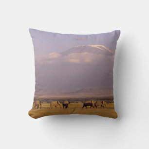 Kenia: Amboseli-Nationalpark, Elefanten Kissen