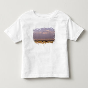 Kenia: Amboseli-Nationalpark, Elefanten Kleinkind T-shirt