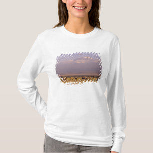 Kenia: Amboseli-Nationalpark, Elefanten T-Shirt
