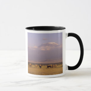 Kenia: Amboseli-Nationalpark, Elefanten Tasse