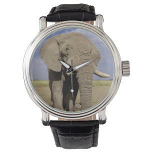 Kenia: Amboseli-Nationalpark, männlicher Elefant Armbanduhr