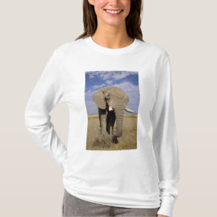 Kenia: Amboseli-Nationalpark, männlicher Elefant T-Shirt