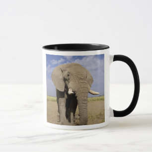 Kenia: Amboseli-Nationalpark, männlicher Elefant Tasse