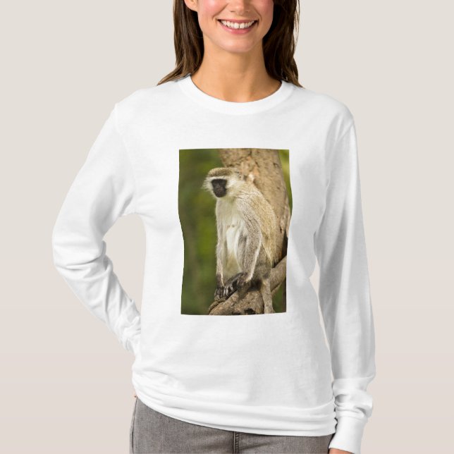 Kenia, Lake Nakuru National Park. Vervet T-Shirt (Vorderseite)