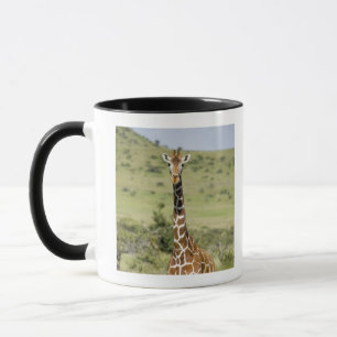Kenia, Lewa Erhaltung, Masai-Giraffe stehend Tasse