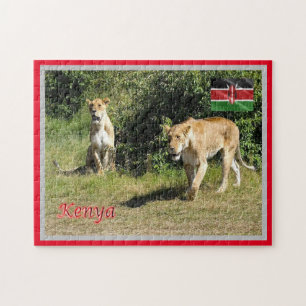 Kenia - Lionessen - Puzzle