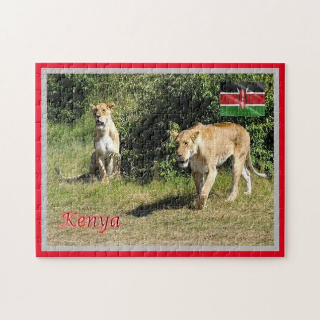 Kenia - Lionessen - Puzzle (Horizontal)