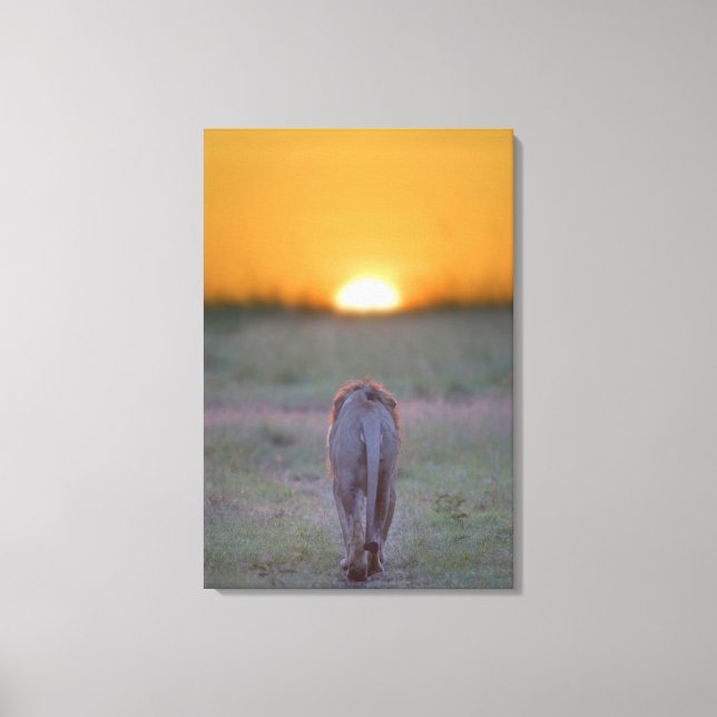 Kenia, Masai Mara 2 Leinwanddruck (Vorderseite)