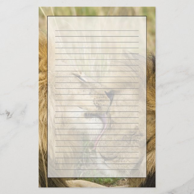 Kenia, Masai Mara Briefpapier (Vorderseite)