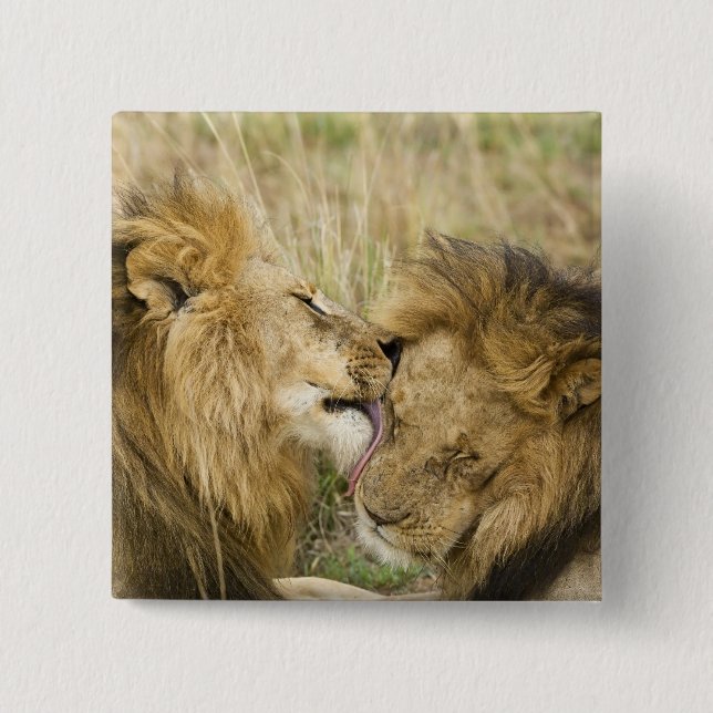 Kenia, Masai Mara Button (Vorderseite)