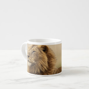 Kenia, Masai Mara männlicher Löwe Espressotasse
