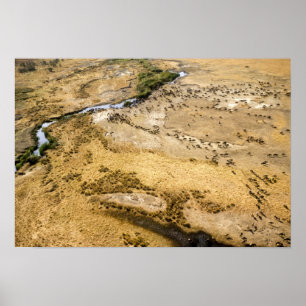 Kenia: Masai Mara Nationalreservat, Mara Poster