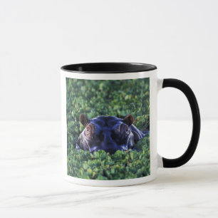 Kenia, Masai Mara Nationalreservat. Tasse