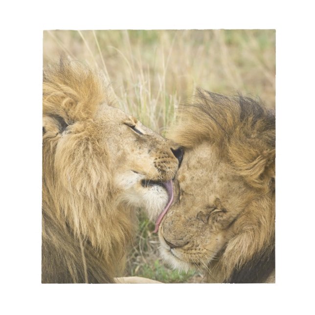 Kenia, Masai Mara Notizblock (Vorderseite)