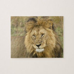 Kenia Masai Mara Puzzle