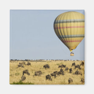 Kenia, Masai Mara. Touristen fahren Heißluftballo Magnet