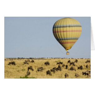 Kenia, Masai Mara. Touristen fahren mit Heißluftba