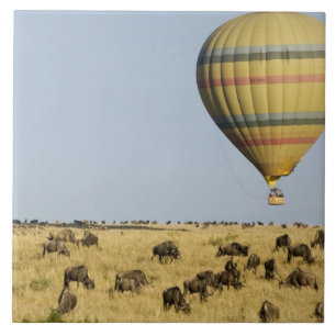 Kenia, Masai Mara. Touristen fahren mit Heißluftba Fliese