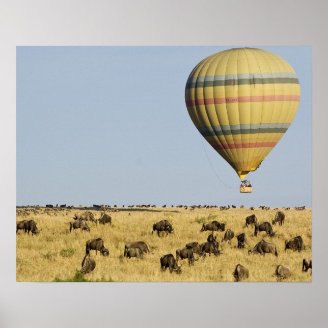 Kenia, Masai Mara. Touristen fahren mit Heißluftba Poster (Vorne)